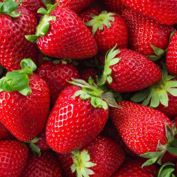 Zemnieku saimniecību, amatnieku, mājražotāju un citu produktu tirdzniecības vietas